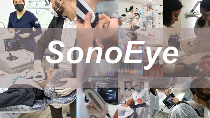 可视化的力量:手持式超声波 SonoEye 对整形手术的影响 可视化的力量:手持式超声波 SonoEye 对整形手术的影响